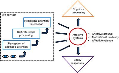 Affective Eye Contact: An Integrative Review